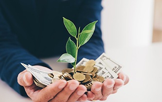 a person holding money in their hands with a tree growing out of it signifying an investment